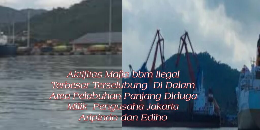 Polda Lampung Dinilai Pilih – Pilih Tindak Gudang BBM Ilegal : Sindikat Jaringan Mafia Bbm Terbesar Di Dalam Pelabuhan Panjang Di Biarkan Bebas Beroprasi